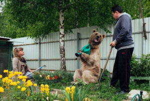 orso vive in casa